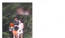 刘大锤最新爆料辛云来,辛云来背后惊人真相曝光！