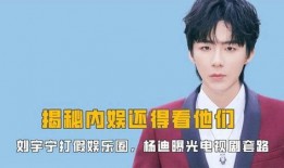 娱乐圈最新爆料刘宇宁视频,娱乐圈再掀热议风暴！